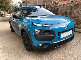 C4 Cactus
