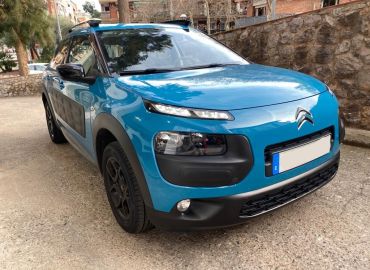 C4 Cactus